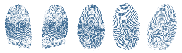 2015-fingerprint